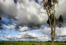 战局再启，法国联赛火力全开