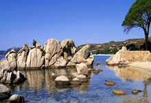 战局再启，法国联赛火力全开