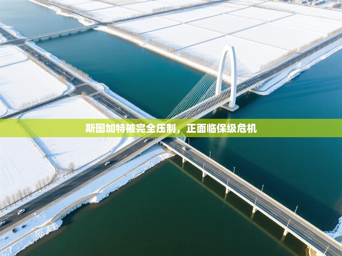 斯图加特被完全压制，正面临保级危机  第2张