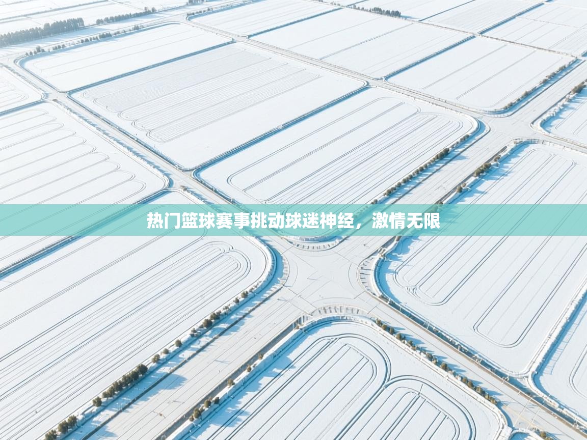 热门篮球赛事挑动球迷神经,激情无限
