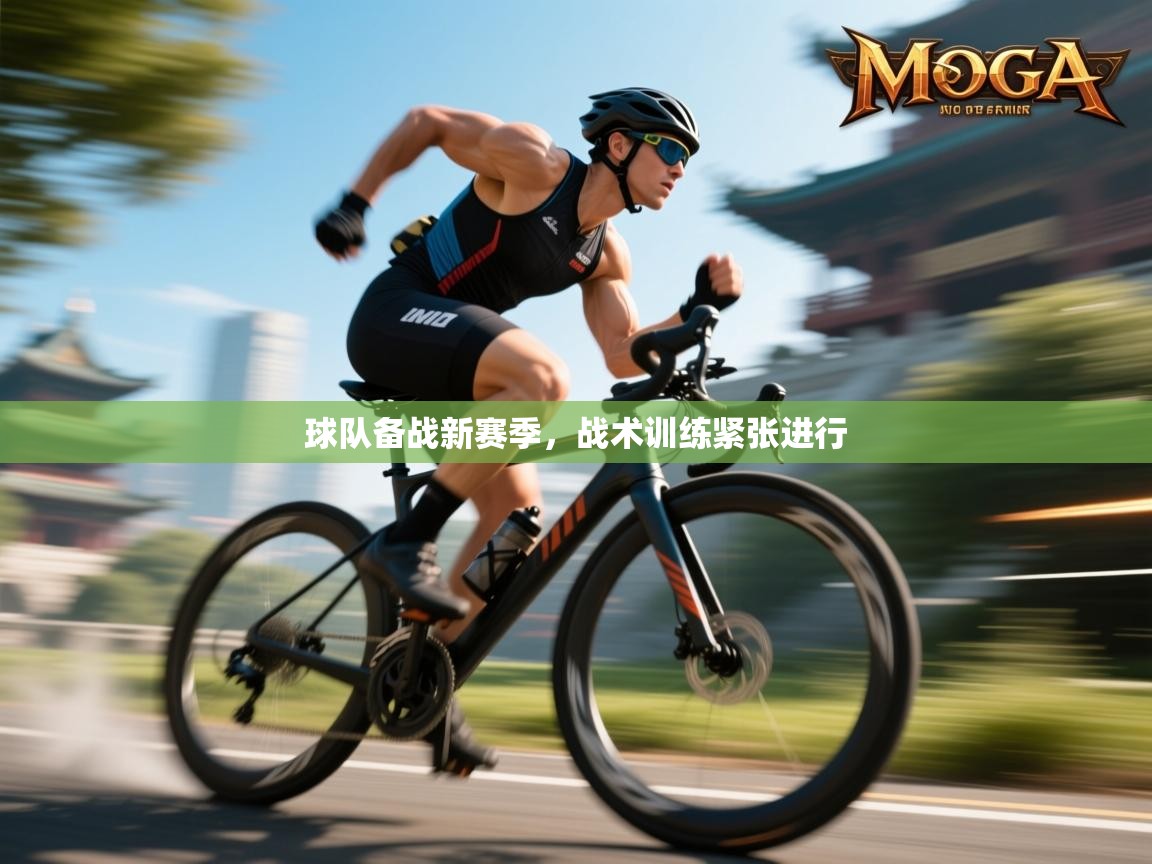 球队备战新赛季，战术训练紧张进行  第2张